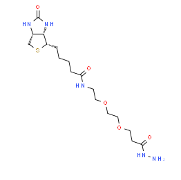 生物素-PEG2-酰肼；2413847-26-2；Biotin-PEG2-Hydrazide