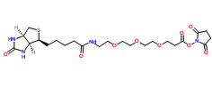 CAS：1253286-56-4；Biotin-PEG3-NHS ester