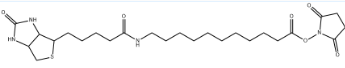 1260092-37-2；Biotin-SLC-NHS Ester