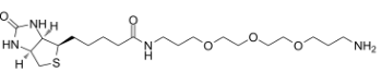 Biotin-PEG3-C3-NH2：1374658-86-2