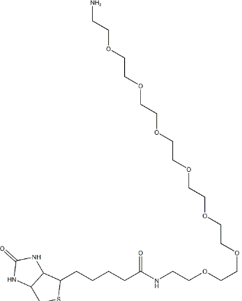 生物素-八聚乙二醇-氨基；1334172-76-7