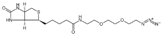 (+)-Biotin-PEG2-azide；945633-30-7；Biotin-PEG2-CH2CH2N3