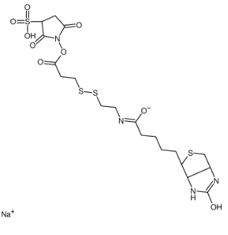 325143-98-4；Sulfo-NHS-SS-Biotin sodium