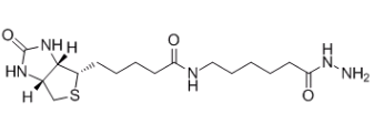 (+)-生物素胺己酰肼；109276-34-8；Biotin LC hydrazide