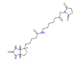 Biotin-C5-NHS Ester；72040-63-2；生物素化-epsilon-氨基己酸-N-羟基丁二酰亚胺活化酯