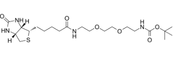 Biotin-PEG2-NH-Boc；175885-18-4