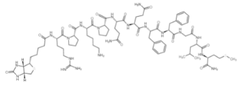 87468-58-4；Biotin-Substance P