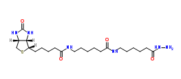 生物素XX酰肼；211237-33-1；Biotin-XX hydrazide