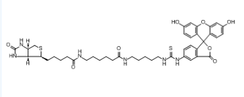 134759-22-1；异硫氰酸荧光素标记生物素