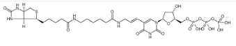 86303-25-5；Biotin-11-dUTP；生物素-11-脱氧尿苷三磷酸