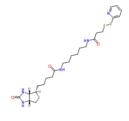 生物素-HPDP；129179-83-5；Biotin HPDP