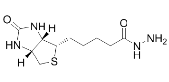 生物素酰肼（BHZ）；66640-86-6；Biotin Hydrazide