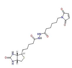 生物素马来酰亚胺；Biotin-MAL；Biotin-Maleimide