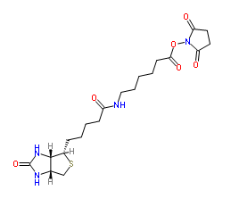 生物素化-epsilon-氨基己酸-N-羟基丁二酰亚胺活化酯；72040-63-2；Biotin-C5-NHS Ester