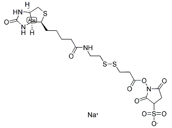 NHS-SS-biotin；122266-55-1；生物素-二硫键-NHS 酯