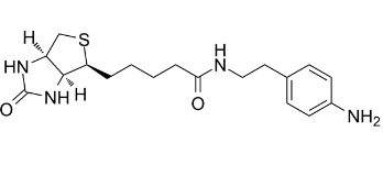 Biotin-aniline；769933-15-5；生物素-苯胺