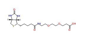 Biotin-PEG2-acid；1365655-89-5；生物素-二聚乙二醇-羧基