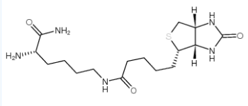 61125-53-9；biocytinamide；H-赖氨酸(生物素基)-NH₂