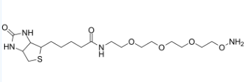 Biotin-PEG3-oxyamine；1786206-22-1；生物素-PEG3-氧胺