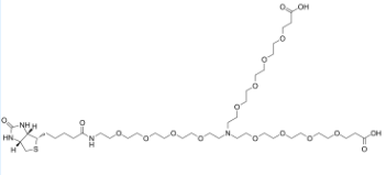 2112731-48-1；N-(Biotin-PEG4)-N-bis(PEG4-acid)