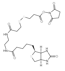 142439-92-7；3-[3-[2-(生物素酰胺)乙基]氨基-3-氧代丙基]二硫基]丙酸琥珀酰亚胺酯