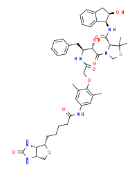 KNI-1293生物素；2071715-99-4；KNI-1293 Biotin