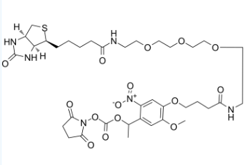 PC生物素-三聚乙二醇-NHS酯；PC Biotin-PEG3-NHS ester