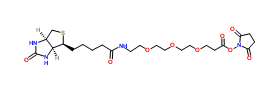 1253286-56-4；Biotin-PEG3-NHS ester