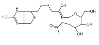 1272755-69-7；N-GlcNAc-生物素；N-GLCNAC-BIOTIN