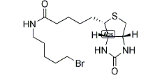 1217605-72-5；生物素5-溴戊酰胺；BIOTIN 5-BROMOPENTYLAMIDE