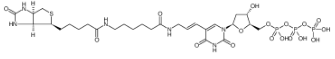 86303-25-5；Biotin-11-dUTP