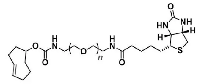 反式环辛烯-聚乙二醇-生物素；TCO-PEG-Biotin