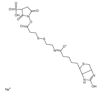 Sulfo-NHS-SS-Biotin sodium；325143-98-4