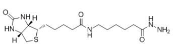 (+)-生物素胺己酰肼；109276-34-8；Biotin LC hydrazide