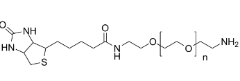 Biotin-PEG23-胺；604786-74-5；Biotin-PEG23-amine