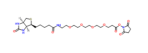 459426-22-3；Biotin-PEG4-NHS ester