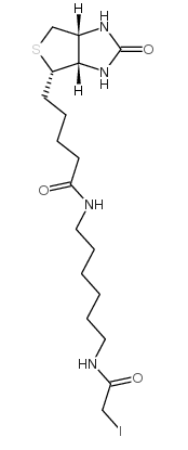 Iodoacetyl-LC-biotin；93285-75-7N-碘代乙酸基-N-生物素己二胺