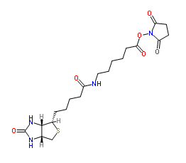 Biotin-C5-NHS Ester；72040-63-2；生物素化-epsilon-氨基己酸-N-羟基丁二酰亚胺活化酯