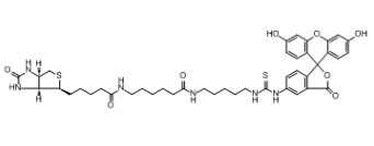 Fluorescein Biotin；134759-22-1；骨化二醇