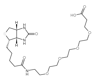 721431-18-1；Biotin-PEG4-acid