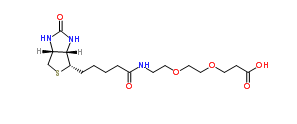 1365655-89-5；Biotin-PEG2-acid