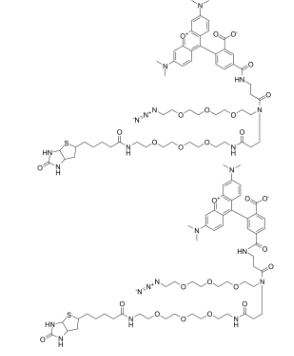 四甲基罗丹明-叠氮-聚乙二醇-生物素；1797415-74-7；TAMRA-Azide-PEG-Biotin