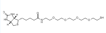 生物素四聚乙二醇巯基；2762393-22-4；Biotin-PEG4-SH