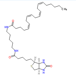 DMT-C3(Biotin) CPG 1000 Angstrom的用途与应用领域