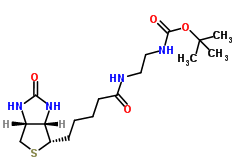 N-Boc-2-生物素酰氨基乙胺；N-BOC-BIOTINYLETHYLENEDIAMINE