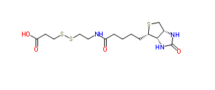 3-[2-N-(生物素基)氨基乙基二硫基]丙酸；3-[2-N-(BIOTINYL)AMINOETHYLDITHIO]PROPANOIC ACID