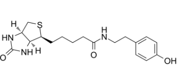 Biotinyl tyramide；41994-02-9；生物素基酪氨酰胺