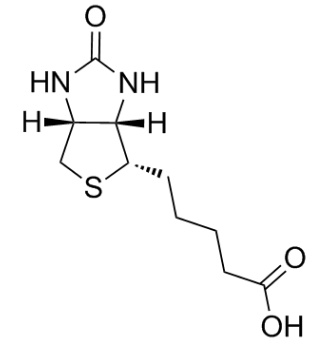 D-生物素；58-85-5；D-Biotin